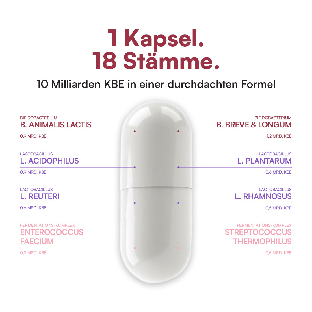 Darm Kulturen Complex⁺