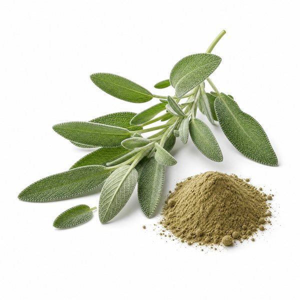 Salbei